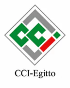 CCIE logo
